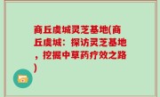 商丘虞城灵芝基地(商丘虞城：探访灵芝基地，挖掘中草药疗效之路)