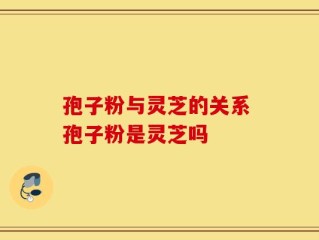 孢子粉与灵芝的关系 孢子粉是灵芝吗