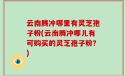 云南腾冲哪里有灵芝孢子粉(云南腾冲哪儿有可购买的灵芝孢子粉？)