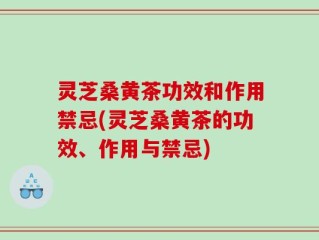 灵芝桑黄茶功效和作用禁忌(灵芝桑黄茶的功效、作用与禁忌)