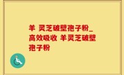 羊 灵芝破壁孢子粉_高效吸收 羊灵芝破壁孢子粉