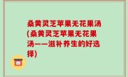 桑黄灵芝苹果无花果汤(桑黄灵芝苹果无花果汤——滋补养生的好选择)