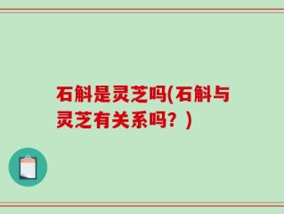 石斛是灵芝吗(石斛与灵芝有关系吗？)