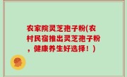 农家院灵芝孢子粉(农村民宿推出灵芝孢子粉，健康养生好选择！)