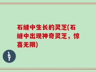 石缝中生长的灵芝(石缝中出现神奇灵芝，惊喜无限)