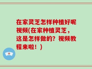 在家灵芝怎样种植好呢视频(在家种植灵芝，这是怎样做的？视频教程来啦！)