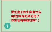 灵芝孢子养生皂有什么功效(神奇的灵芝孢子养生皂有哪些功效？)