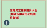 玉雕灵芝花瓶图片大全(精致玉雕灵芝花瓶图片集锦)
