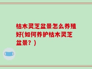 枯木灵芝盆景怎么养殖好(如何养护枯木灵芝盆景？)