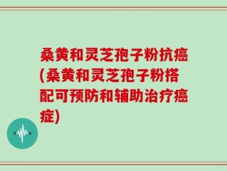 桑黄和灵芝孢子粉抗癌(桑黄和灵芝孢子粉搭配可预防和辅助治疗癌症)