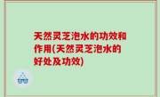 天然灵芝泡水的功效和作用(天然灵芝泡水的好处及功效)