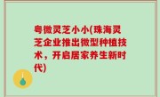 粤微灵芝小小(珠海灵芝企业推出微型种植技术，开启居家养生新时代)