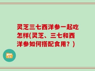 灵芝三七西洋参一起吃怎样(灵芝、三七和西洋参如何搭配食用？)