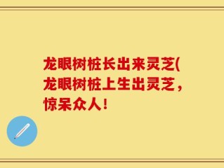 龙眼树桩长出来灵芝(龙眼树桩上生出灵芝，惊呆众人！