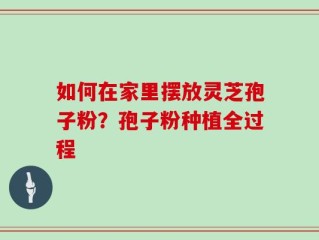 如何在家里摆放灵芝孢子粉？孢子粉种植全过程