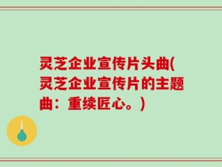 灵芝企业宣传片头曲(灵芝企业宣传片的主题曲：重续匠心。)