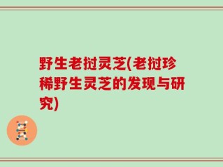 野生老挝灵芝(老挝珍稀野生灵芝的发现与研究)