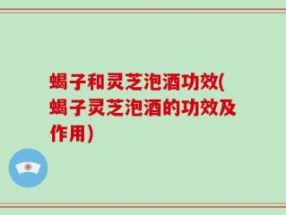 蝎子和灵芝泡酒功效(蝎子灵芝泡酒的功效及作用)