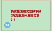 狗窝里发现灵芝好不好(狗窝里意外发现灵芝？)