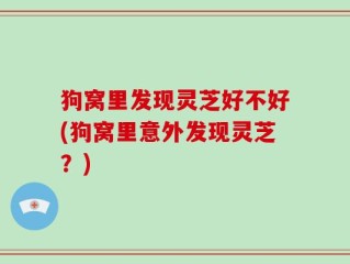 狗窝里发现灵芝好不好(狗窝里意外发现灵芝？)