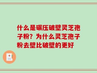 什么是碾压破壁灵芝孢子粉？为什么灵芝孢子粉去壁比破壁的更好