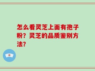 怎么看灵芝上面有孢子粉？灵芝的品质鉴别方法？