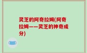灵芝的阿奇拉姆(阿奇拉姆——灵芝的神奇成分)