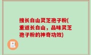 搜长白山灵芝孢子粉(重返长白山，品味灵芝孢子粉的神奇功效)
