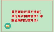 灵芝要洗还是不洗好(灵芝是否需要清洗？详解正确的处理方法)