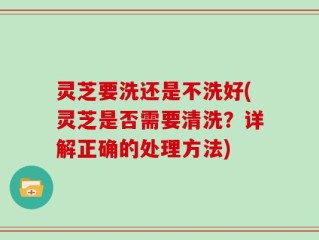 灵芝要洗还是不洗好(灵芝是否需要清洗？详解正确的处理方法)