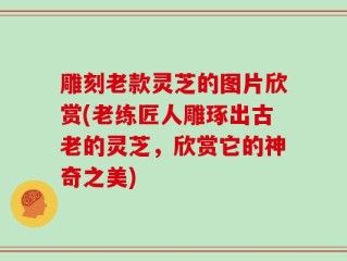 雕刻老款灵芝的图片欣赏(老练匠人雕琢出古老的灵芝，欣赏它的神奇之美)