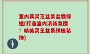 室内真灵芝盆景盆栽绿植(打造室内清新氛围：精美灵芝盆景绿植装饰)
