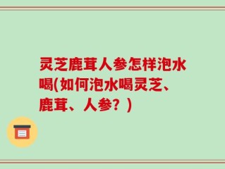 灵芝鹿茸人参怎样泡水喝(如何泡水喝灵芝、鹿茸、人参？)