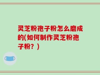 灵芝粉孢子粉怎么磨成的(如何制作灵芝粉孢子粉？)