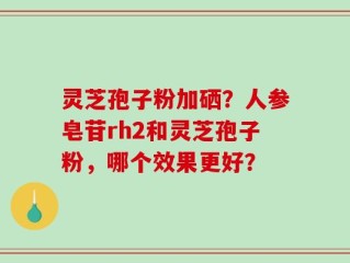 灵芝孢子粉加硒？人参皂苷rh2和灵芝孢子粉，哪个效果更好？
