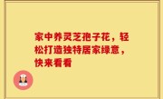 家中养灵芝孢子花,轻松打造独特居家绿意,快来看看
