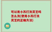 可以用小苏打洗灵芝吗怎么洗(使用小苏打洗灵芝的正确方法)
