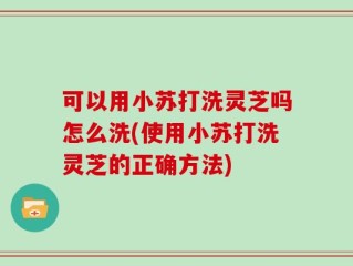 可以用小苏打洗灵芝吗怎么洗(使用小苏打洗灵芝的正确方法)