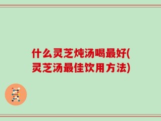 什么灵芝炖汤喝最好(灵芝汤最佳饮用方法)