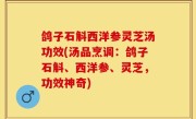 鸽子石斛西洋参灵芝汤功效(汤品烹调：鸽子石斛、西洋参、灵芝，功效神奇)