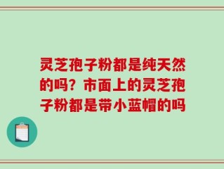 灵芝孢子粉都是纯天然的吗？市面上的灵芝孢子粉都是带小蓝帽的吗