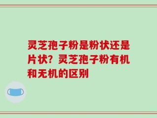 灵芝孢子粉是粉状还是片状？灵芝孢子粉有机和无机的区别