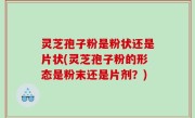 灵芝孢子粉是粉状还是片状(灵芝孢子粉的形态是粉末还是片剂？)