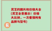 灵芝的图片和价格大全(灵芝全景展示！价格大比拼，一次看懂所有品牌与型号)