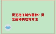 灵芝孢子制作菌种？灵芝菌种的培育方法