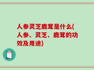 人参灵芝鹿茸是什么(人参、灵芝、鹿茸的功效及用途)