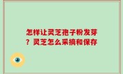 怎样让灵芝孢子粉发芽？灵芝怎么采摘和保存