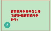 苔藓孢子粉种子怎么种(如何种植苔藓孢子粉种子)