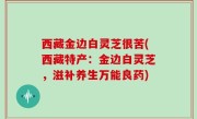 西藏金边白灵芝很苦(西藏特产：金边白灵芝，滋补养生万能良药)