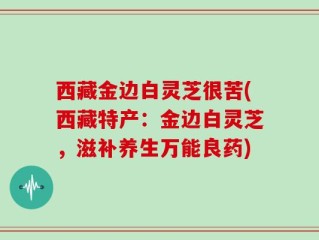 西藏金边白灵芝很苦(西藏特产：金边白灵芝，滋补养生万能良药)